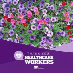 Meet your Posher, Twinkle